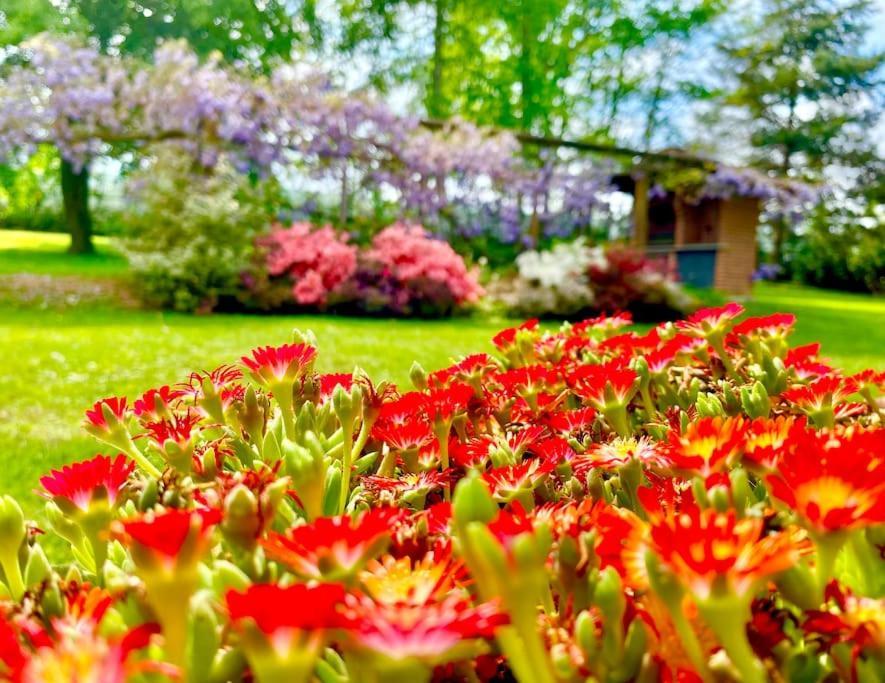 Villa Giulia - Argentera Peveragno المظهر الخارجي الصورة